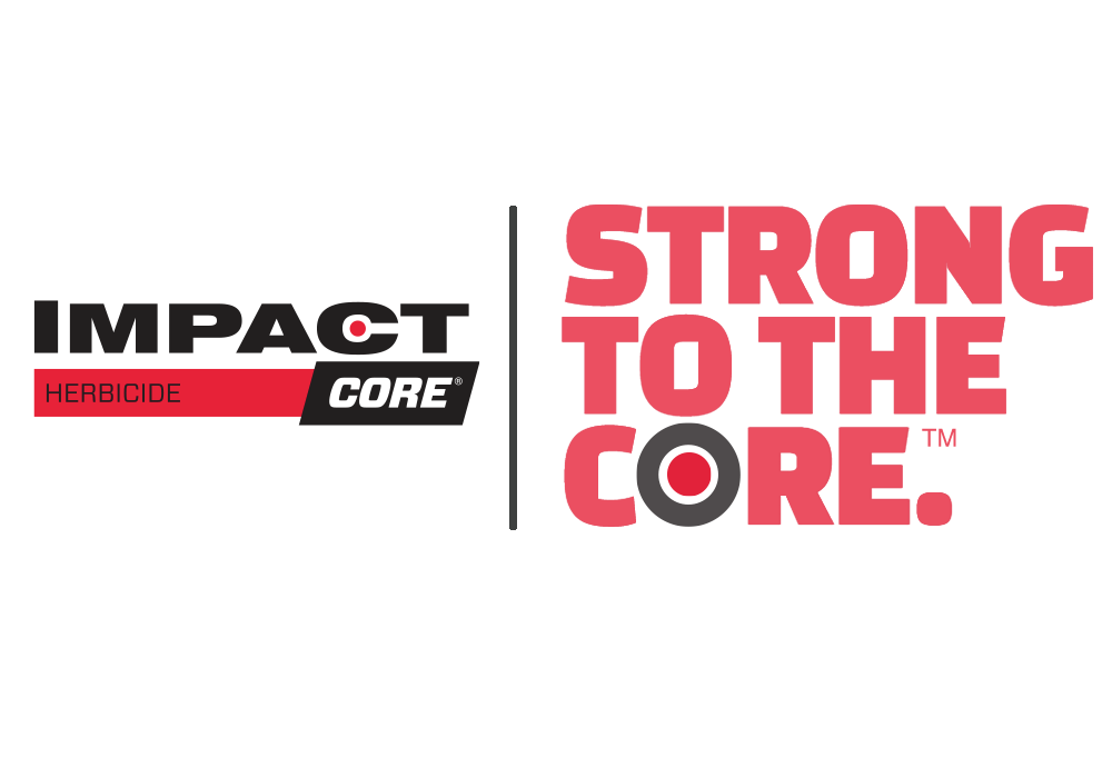 Impact CORE