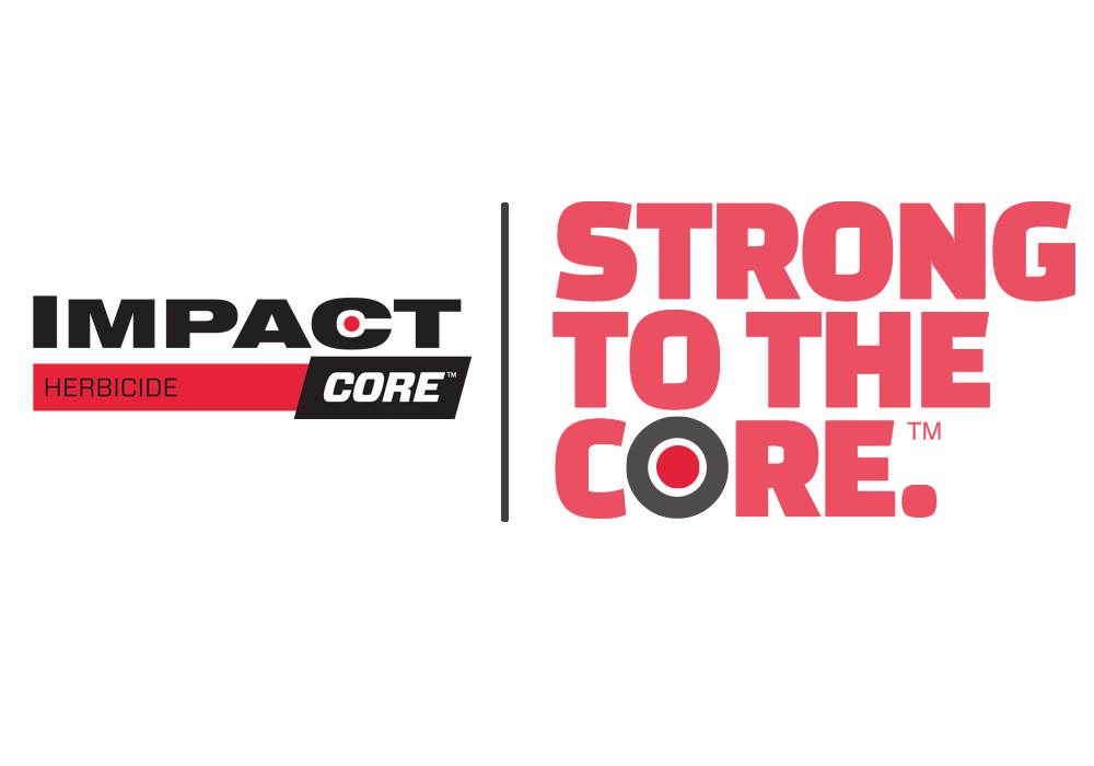 Impact core amvac 