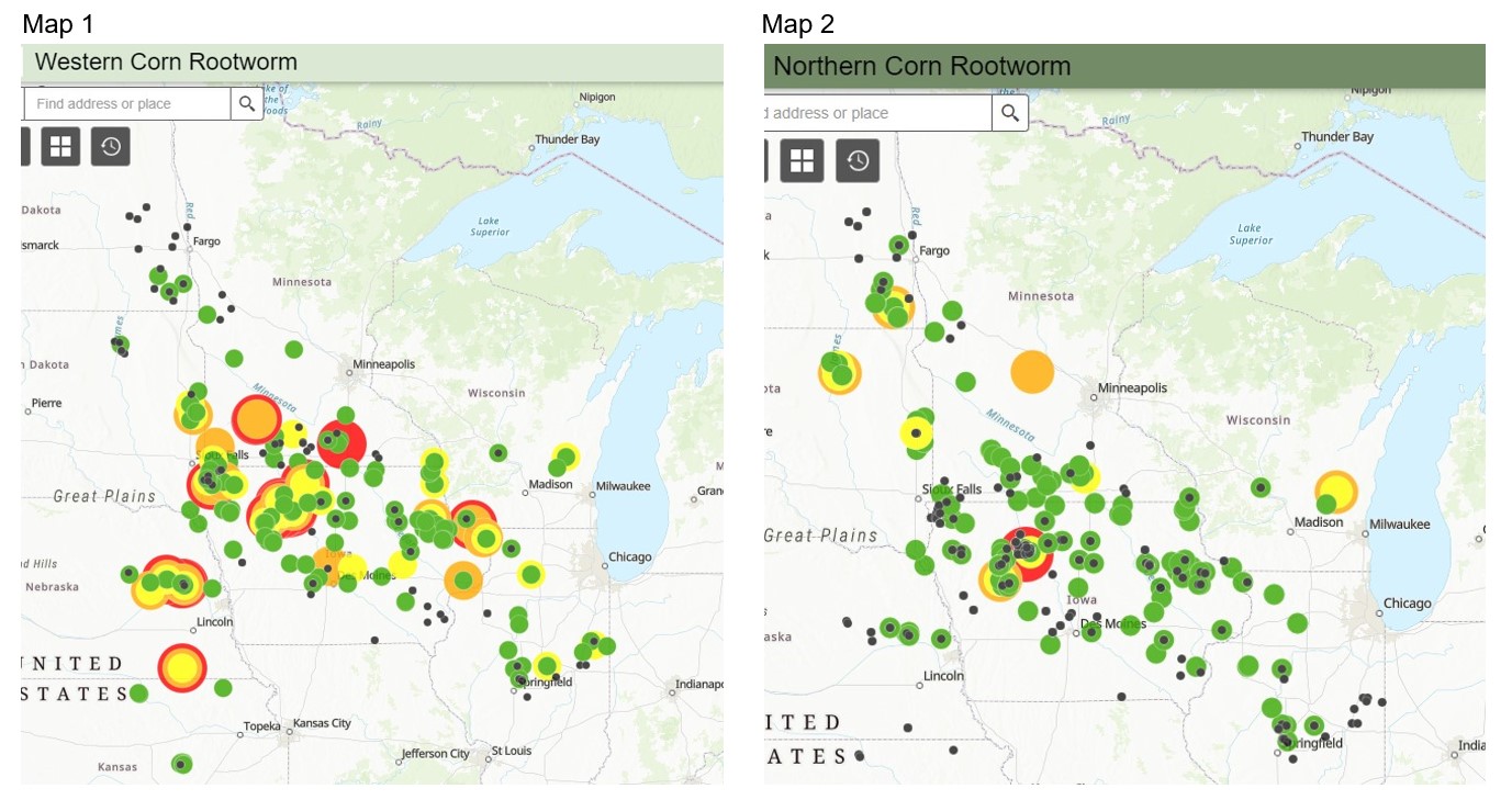 CRW maps