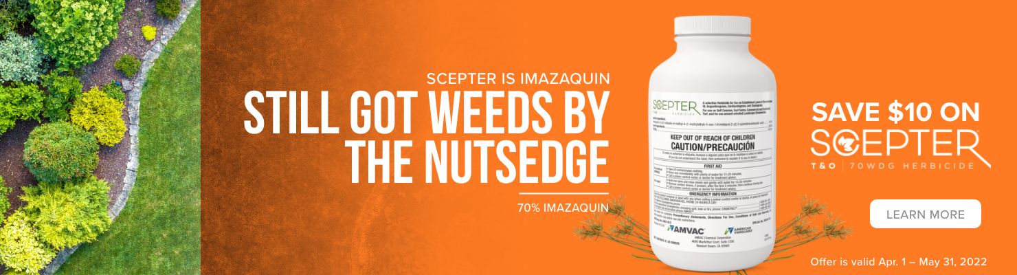 SCEPTER Promotion