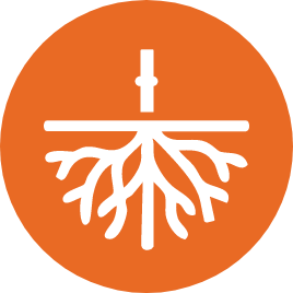 Nematode Suppression icon