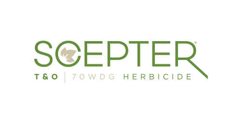 SCEPTER T&O 70 WDG Herbicide