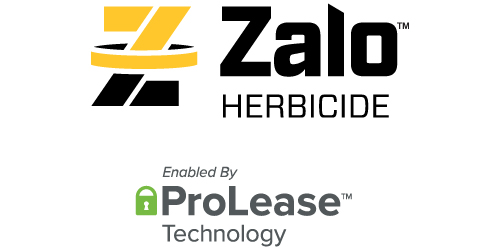 Zalo Herbicide for Soybean, Cotton, and Canola